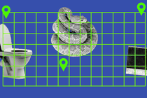 A toilet, a snake, and a Polaroid on a map grid