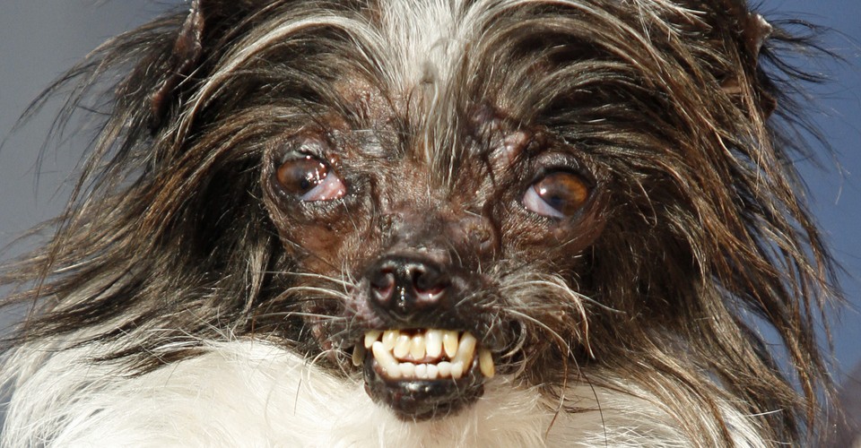 What Is Ugly The Atlantic