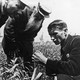 Trofim Lysenko measures the growth of wheat in a field while two men watch.