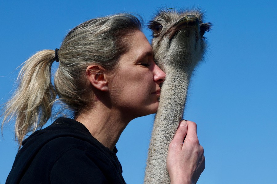 A woman nuzzles her face into the neck of an ostrich.