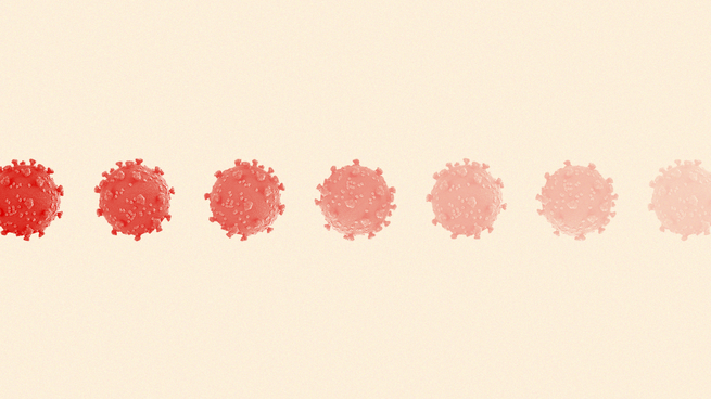 Illustration of cells