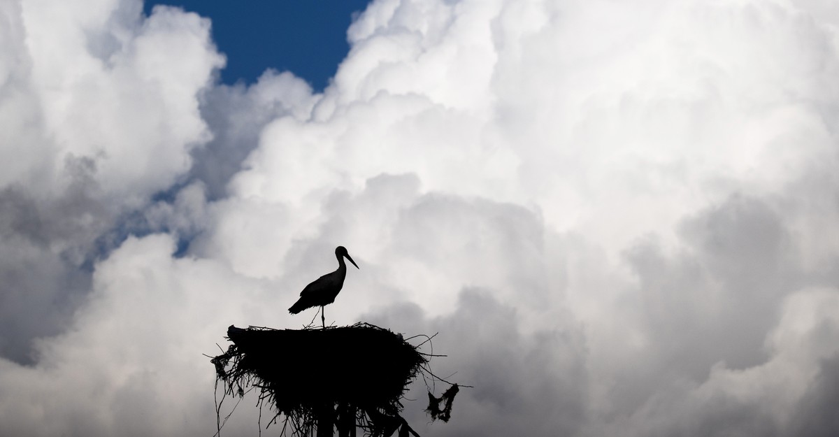 cdn.theatlantic.com image