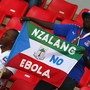 A fan holds an Equatorial Guinea flag with an anti-Ebola message at the African Cup of Nations. 