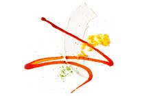 Illustration with artful swipes of sauces + ingredients