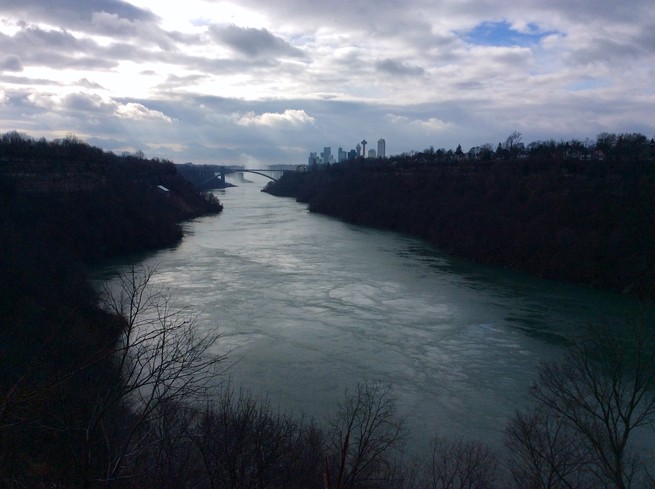 Niagara River surrounded by bare trees under cloudy sky