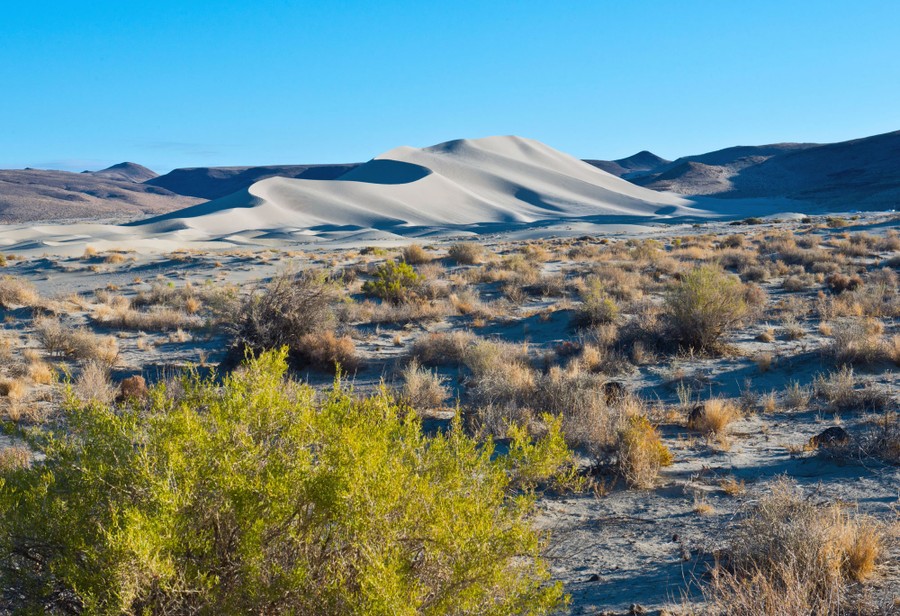 Nevada: Images of the Silver State - The Atlantic