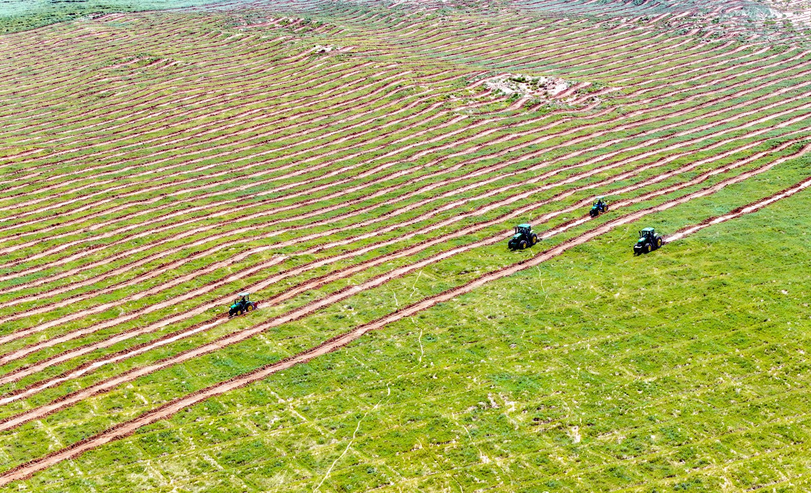 An aerial view of several tractors carving straight lines across a desert area covered in short green plants.
