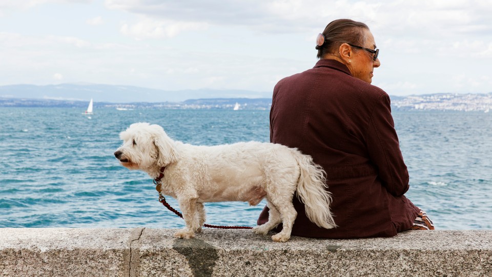 A dog and its owner by the sea.