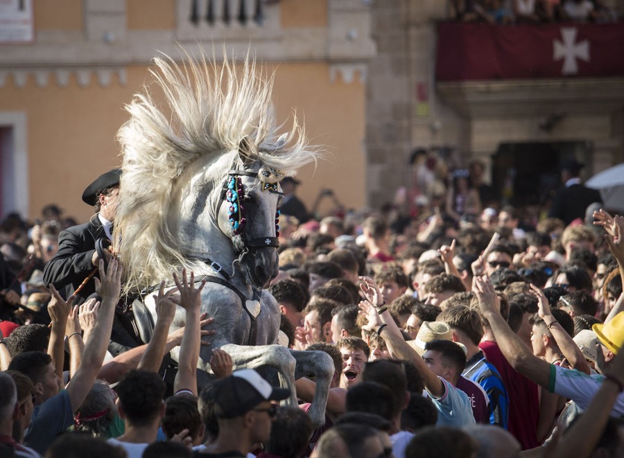 A horse rears in a crowd of people, its mane flying up.