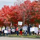 An image of protesters holding signs at the No Kings protest