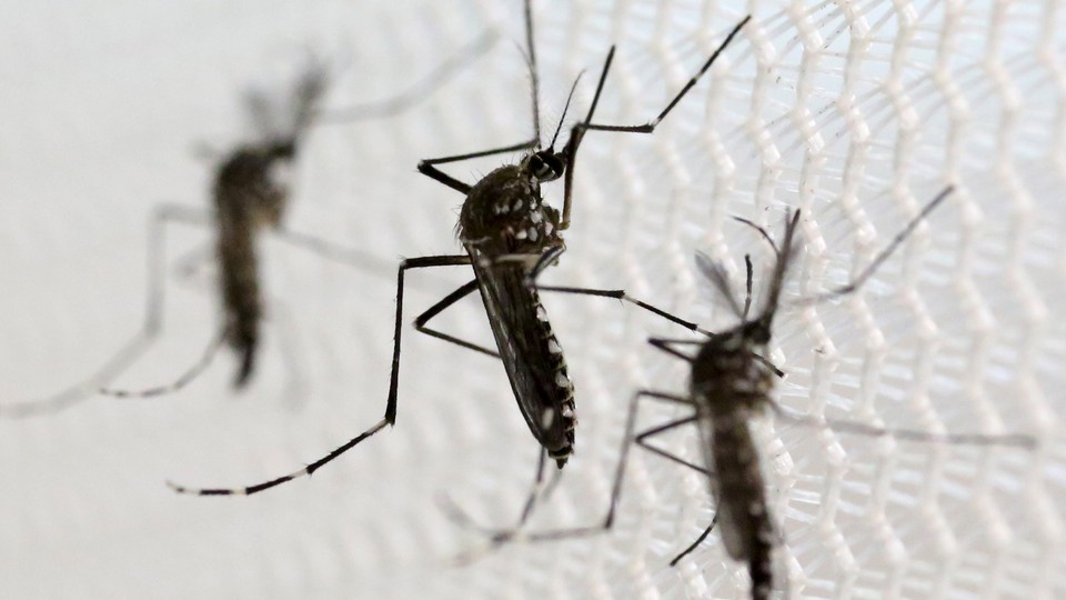 Zika Virus Transmitted In The Us For First Time Through Sexual 