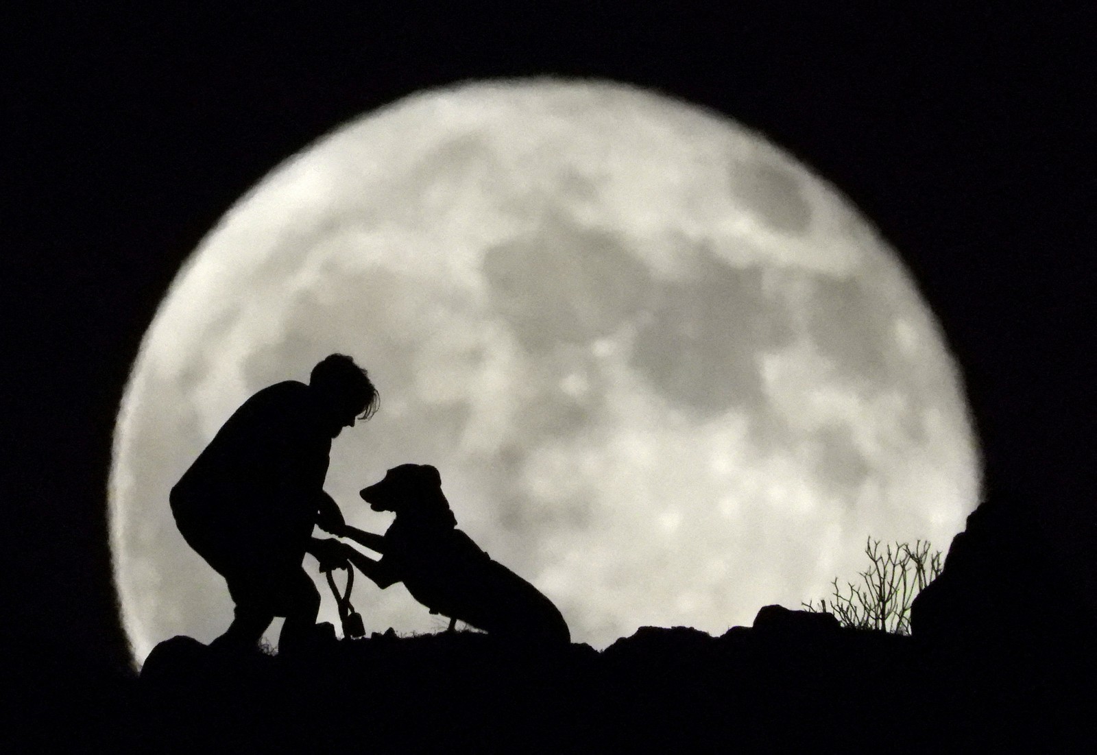 A person and their dog, seen silhouetted in front of the full moon