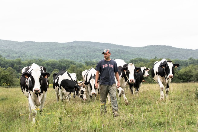 Farmers tap into AI thanks to €2m deal between Dairymaster, Lero