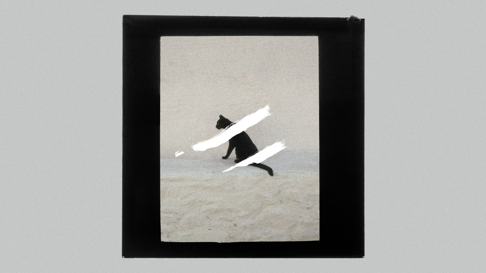 a cat in the distance, sitting on the sand, seen in profile. the image of the cat is covered in two white smudges of paint, and framed by a black square on a grey background