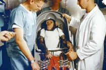 Ham the chimpanzee, with veterinarian Bill Britz in the white coat, in 1961