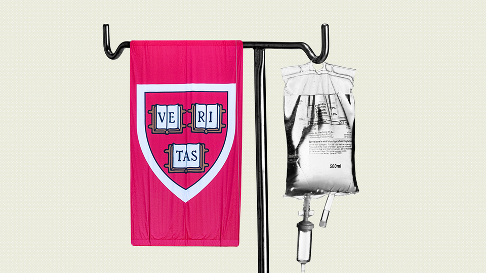 a harvard emblem hung by an iv bag