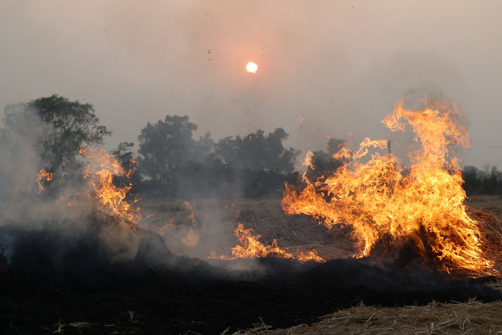 Fire and smoke rise above a burning farm field.