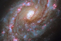 A telescope view of a swirling galaxy lined with bright pink patches and lanes of dark dust