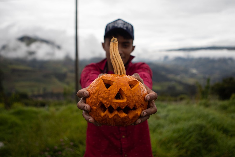 A person holds a small carved jack-o'-lantern.