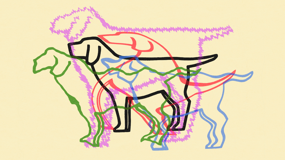 An illustration of various dog silhouettes