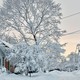 Snow covers houses and trees on a street.