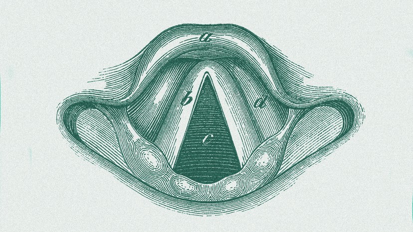 When Did Ancient Humans Start to Speak? - The Atlantic
