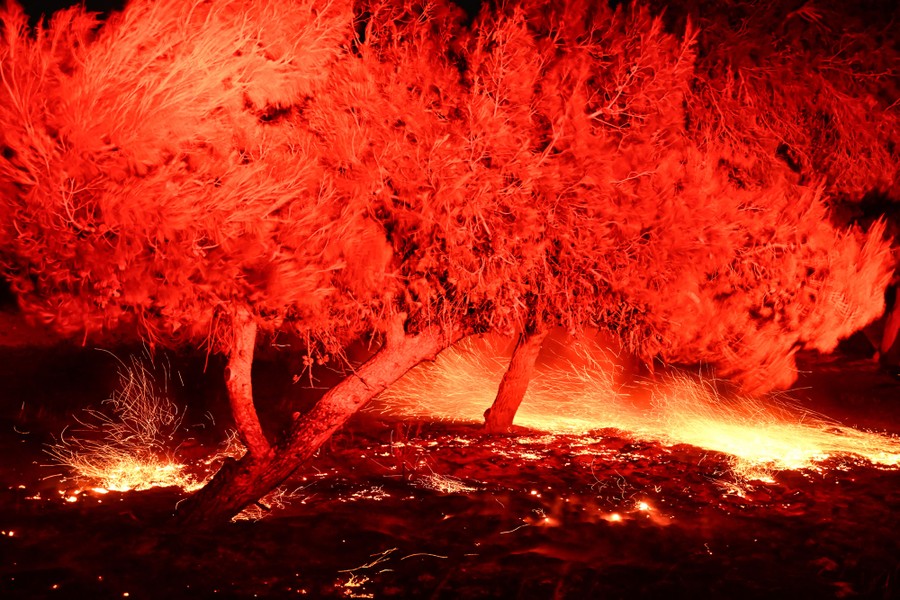 Sparks and flames fly near low trees during a forest fire.