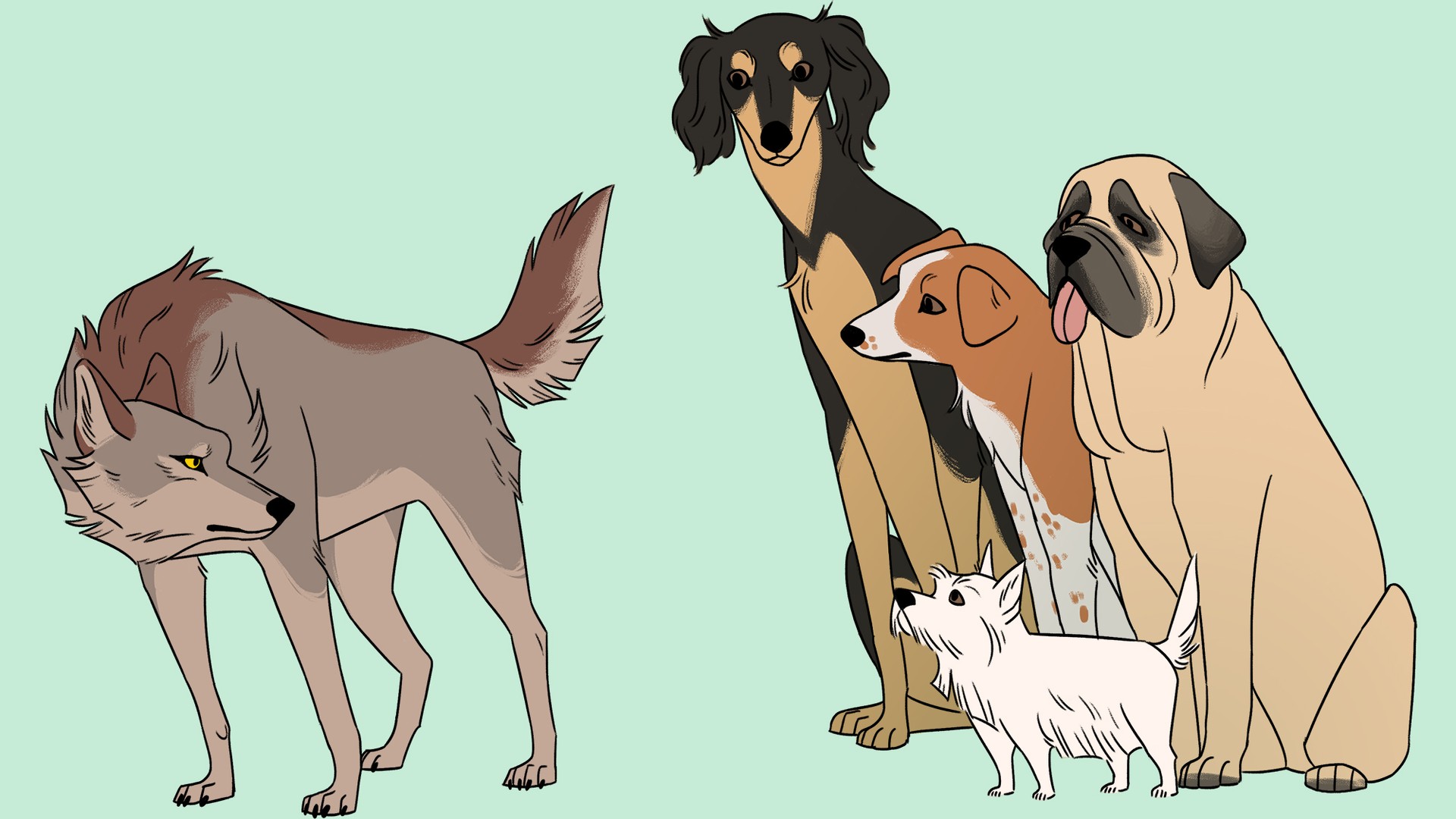 the-origin-of-dogs-when-where-and-how-many-times-were-they