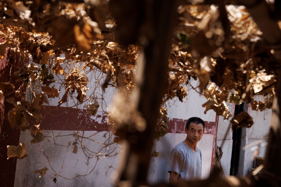 A man stands beneath a canopy of dried hanging plants.