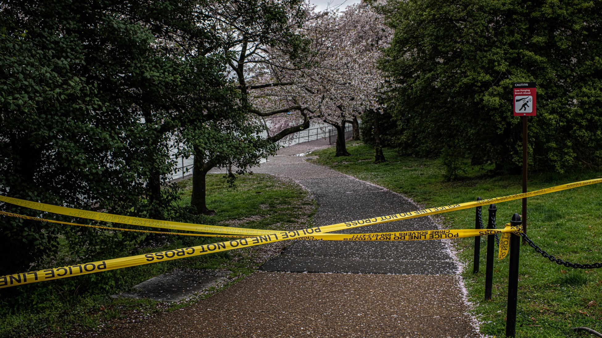 How ‘Normalcy’ Became a Safe Word - The Atlantic