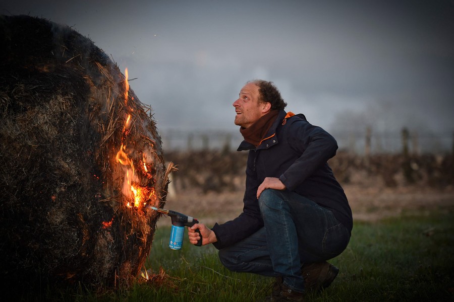 A man lights a large straw bale on fire.