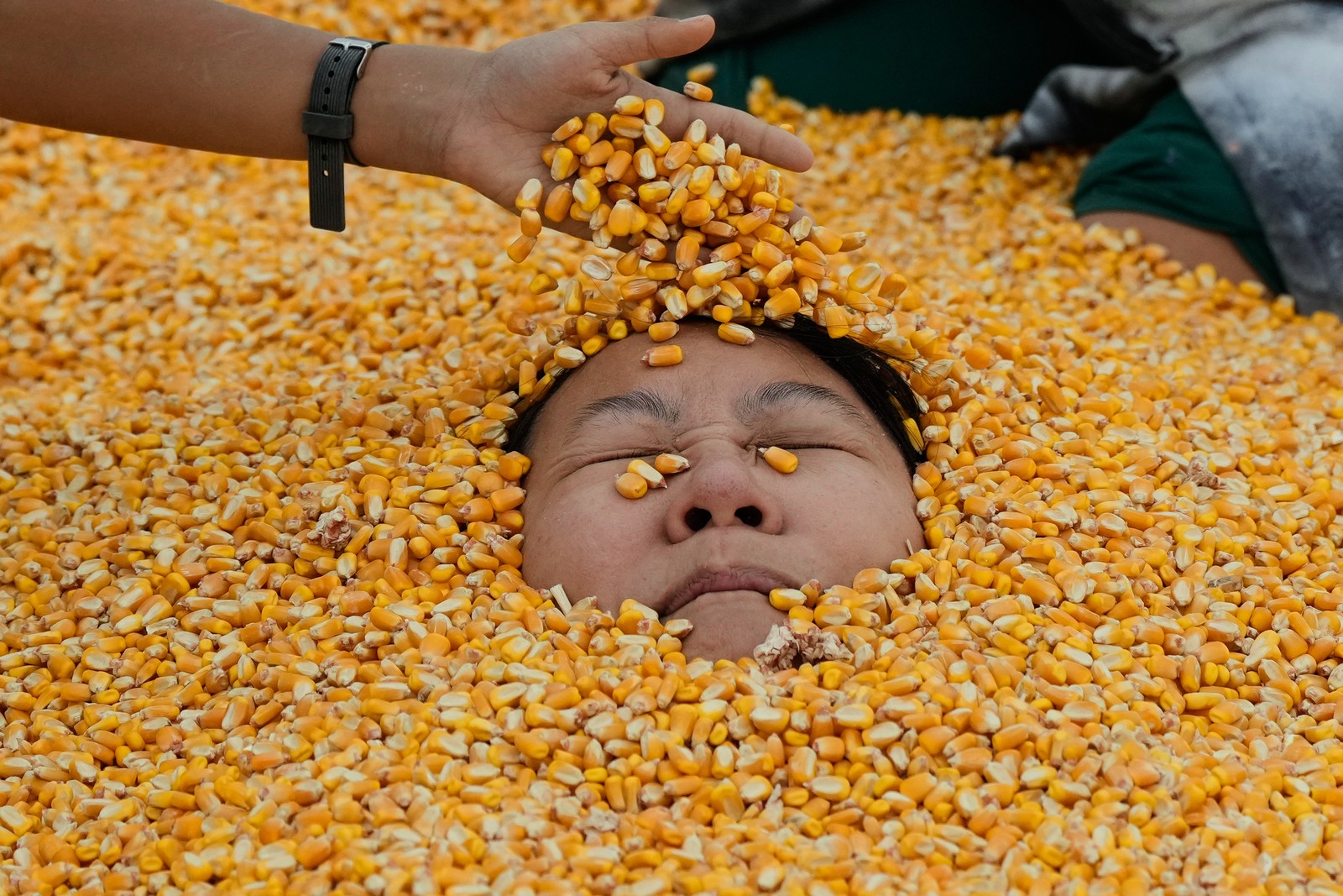Only the face of a person is visible, buried in a pile of dried corn.