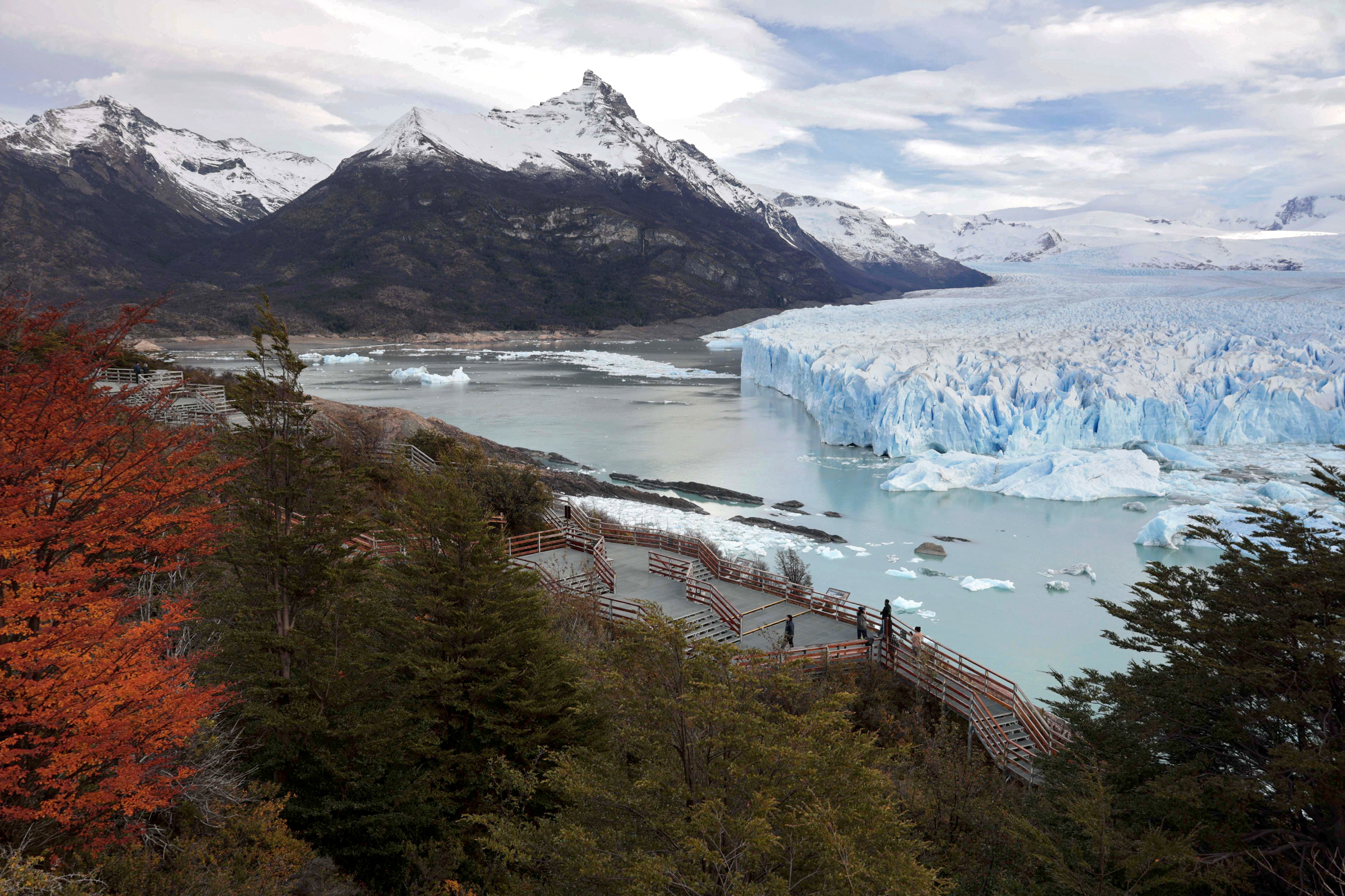 An overview of a large glacier among mountains and autumn-colored trees.