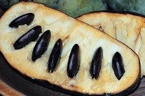 A sliced-open pawpaw