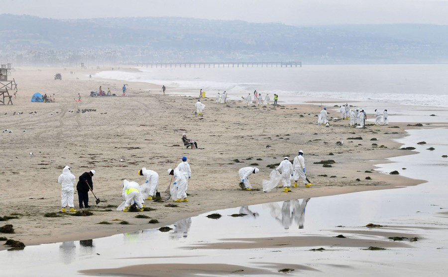 More than a dozen people wearing hazard gear clean up a beach.