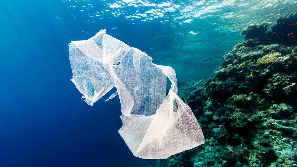 A piece of plastic floats over a coral reef