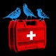 An illustration of three blue birds perched on a first-aid kit