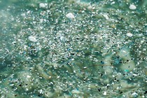 Plastic and debris floating in greenish water