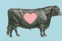 An illustration of a cow with a heart cutout in the middle of its body