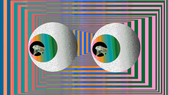 Https Encrypted Tbn0 Gstatic Com Images Q Tbn 3aand9gctevt2gsnn9oomvdfybkfa4cjutmgrskq Ykq Usqp Cau