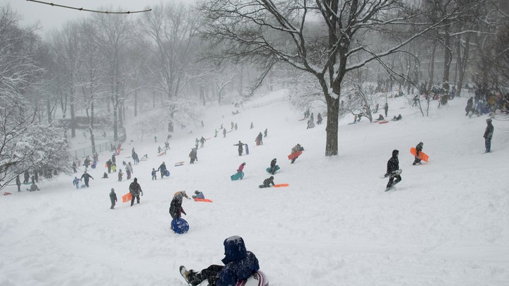A sea of children sleds down a snowy hill.
