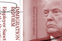 A collage of immigration-related documents and Donald Trump's face