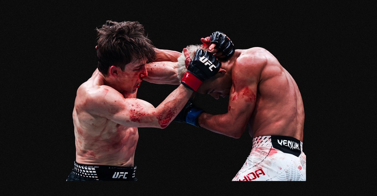 Why Trump Needs to Have a good time His Birthday With a Cage Struggle
