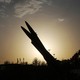 Color photograph of two missiles blocking the sun near flags and other silhouettes, displayed at Azadi Square in Tehran on July 24, 2026.