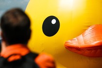 A person looks at the face of a giant inflatable rubber duck.