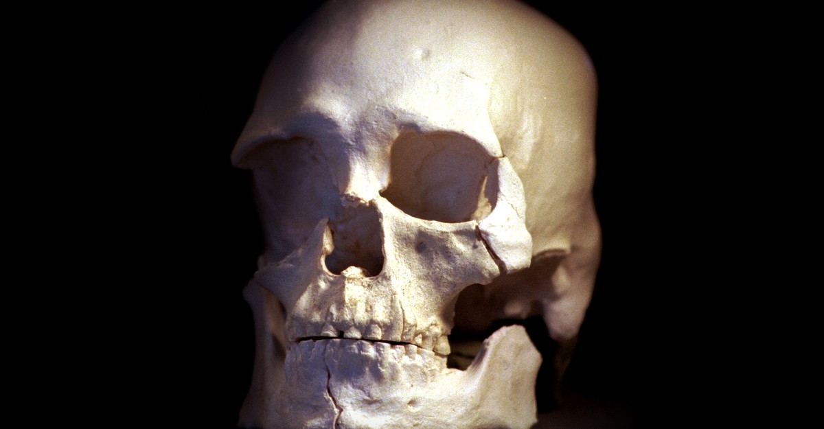 A New History of the First Peoples in the Americas