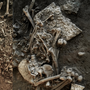 An excavation of human remains