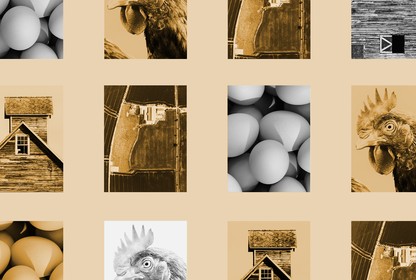 pictures of eggs chickens and chicken farms in a grid washed brownish yellow