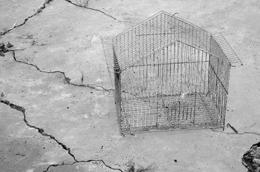 A metal cage sits on cracked, dry ground