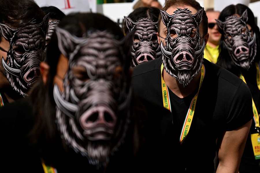 A half dozen people are seeing wearing black shirts and cut-out masks of wild boars.